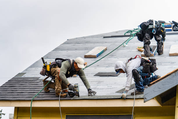 Professional Roofing technician working in Newton Junction, NH